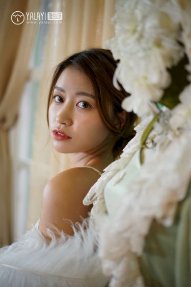 那种网站的网址